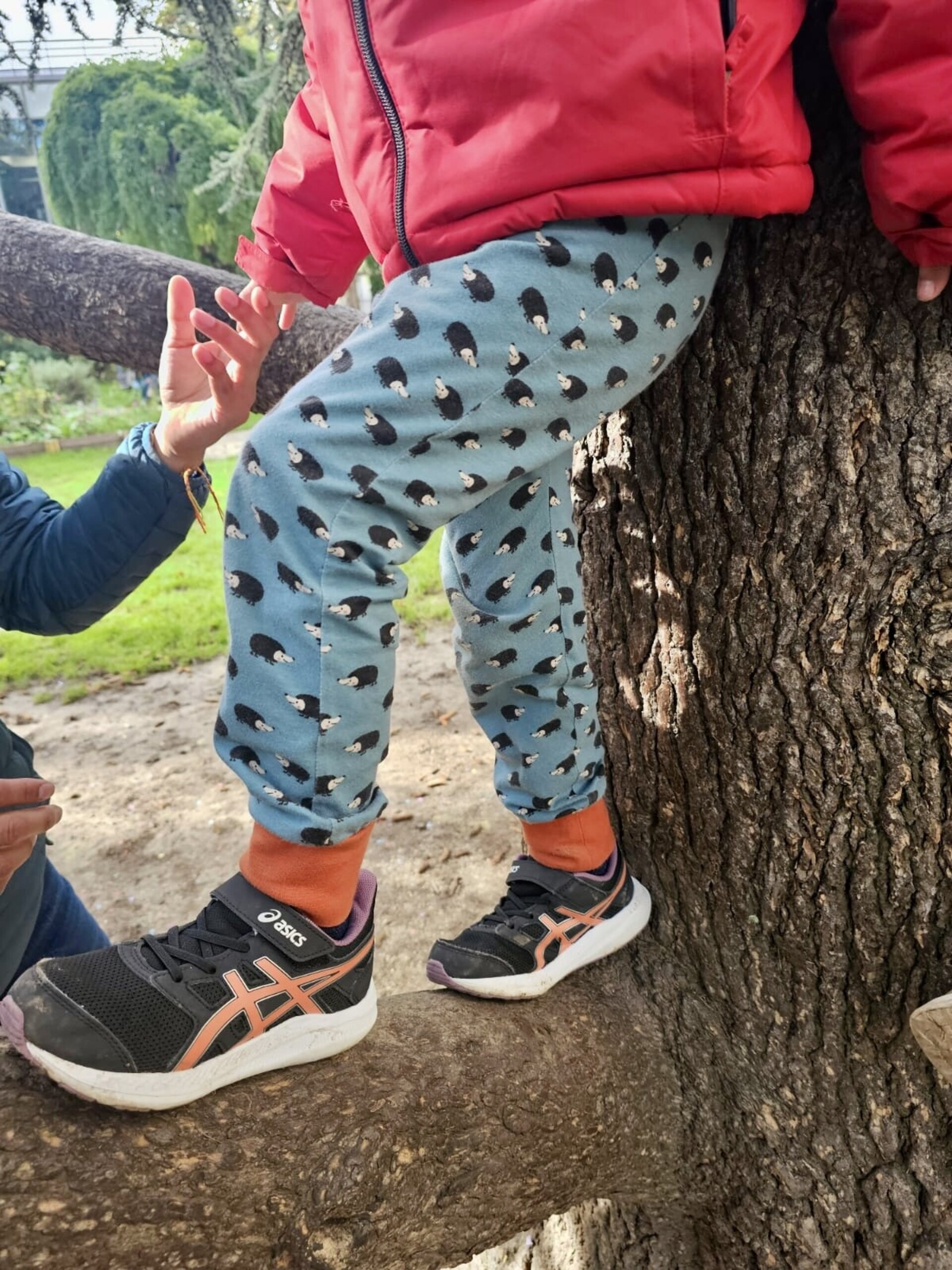 Pantalón sarouel infantil - Erizos azul/teja - 5