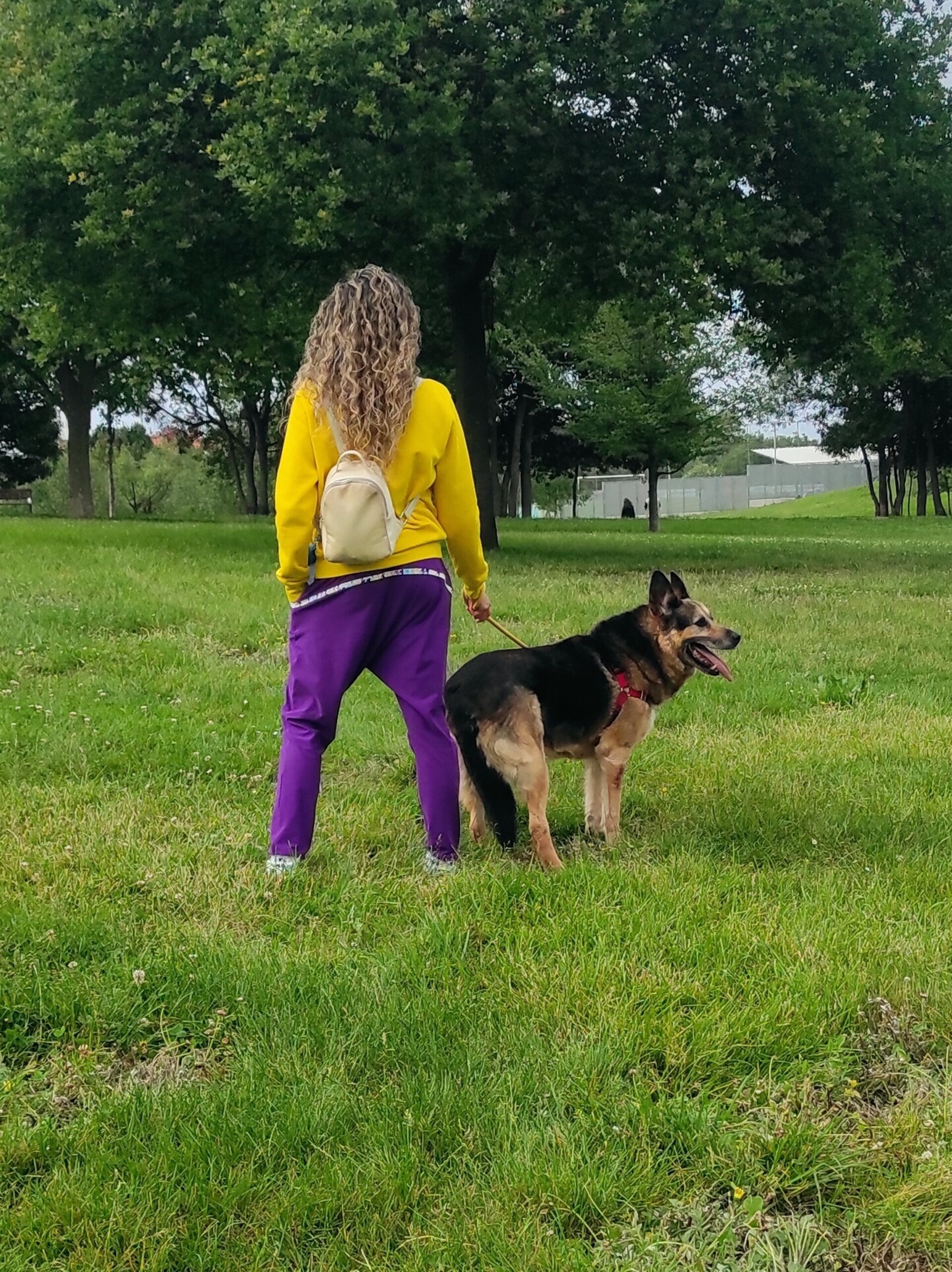 Pantalón Sarouel mujer - Canesú - Morado - 10