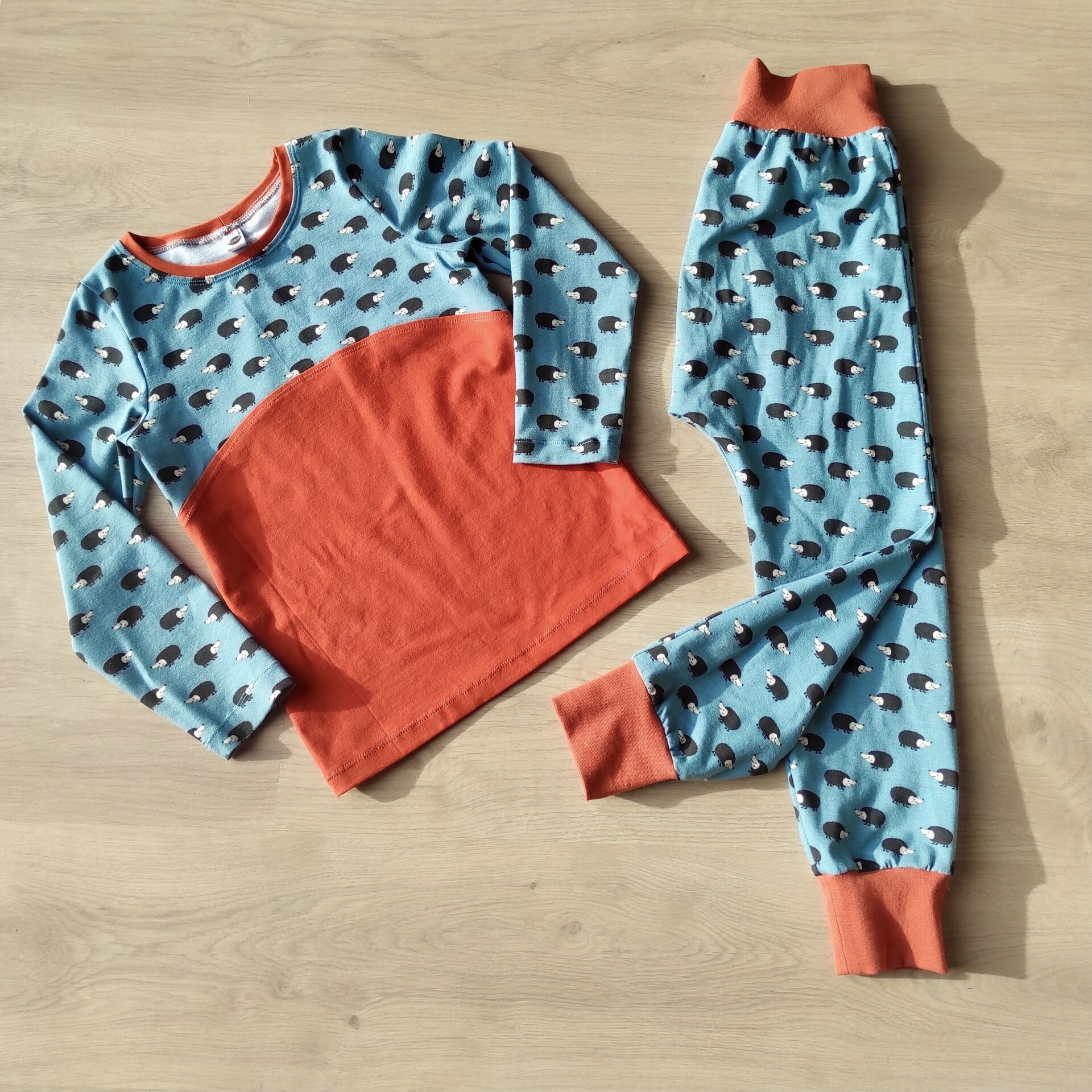 Camiseta Infantil Manga Larga - Erizos azul/teja - 2