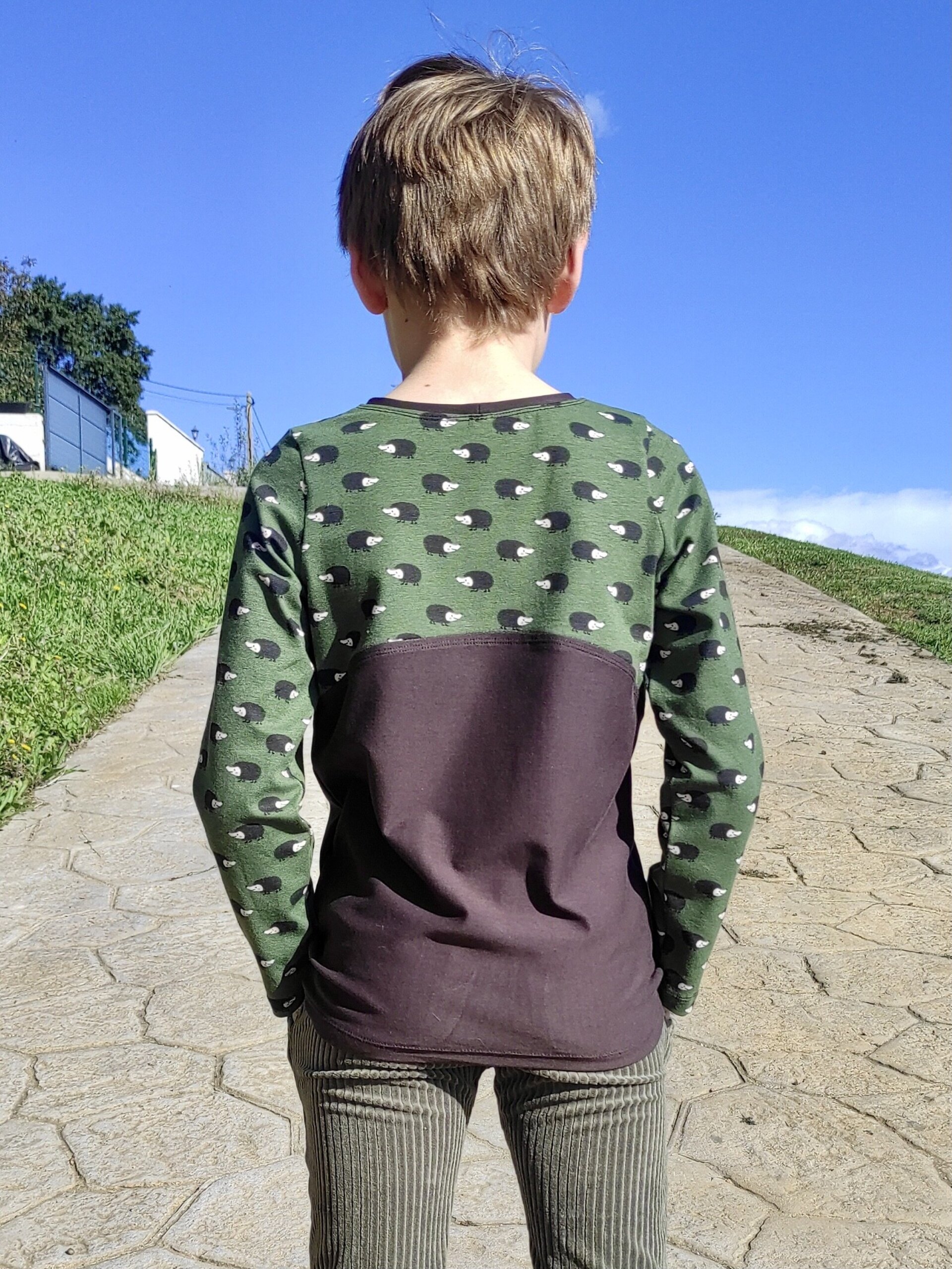 Camiseta Infantil Manga Larga - Erizos verde/marrón - 2