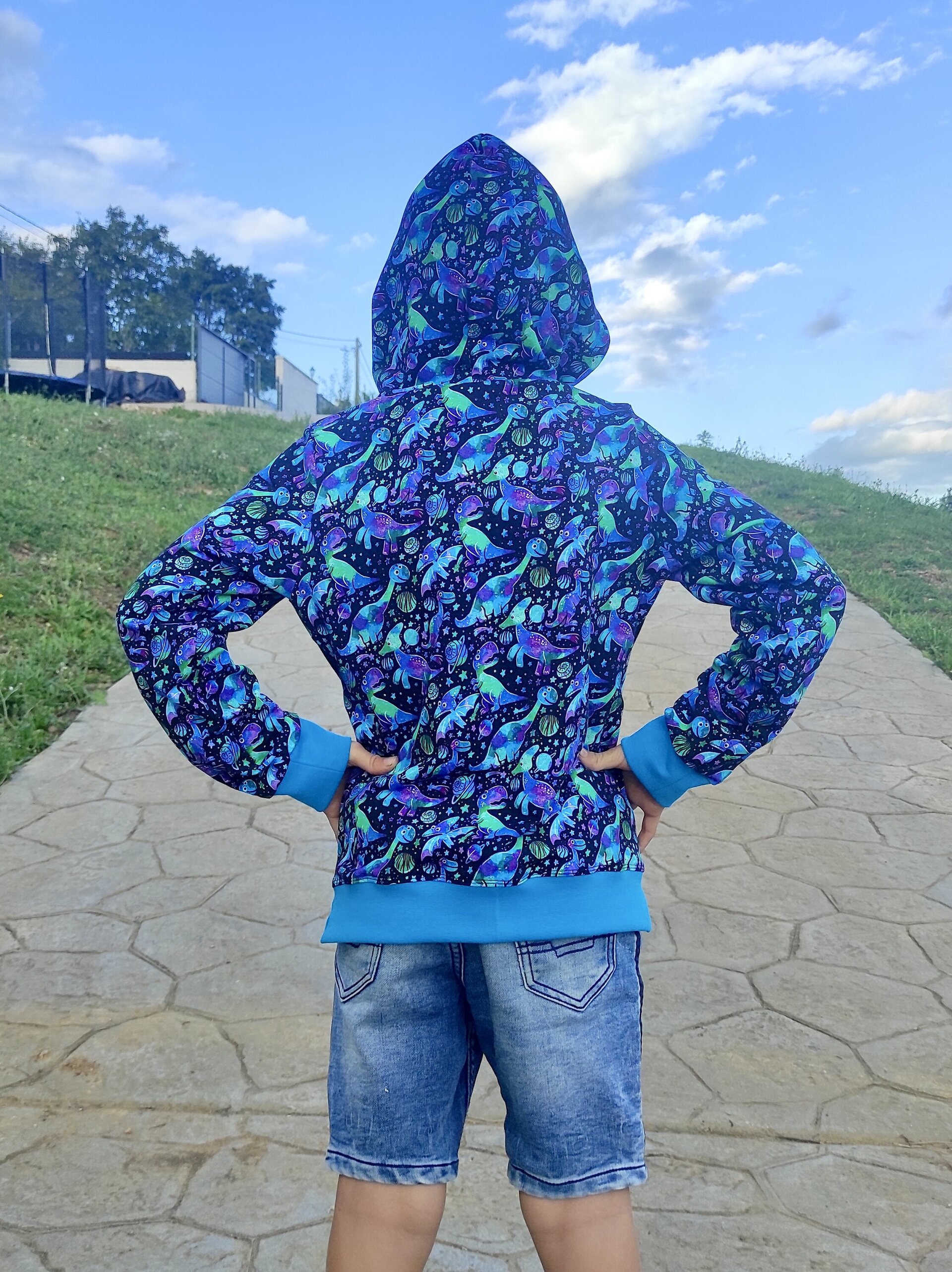 Sudadera Infantil - Capucha y Bolsillo - Dinosaurios - 5