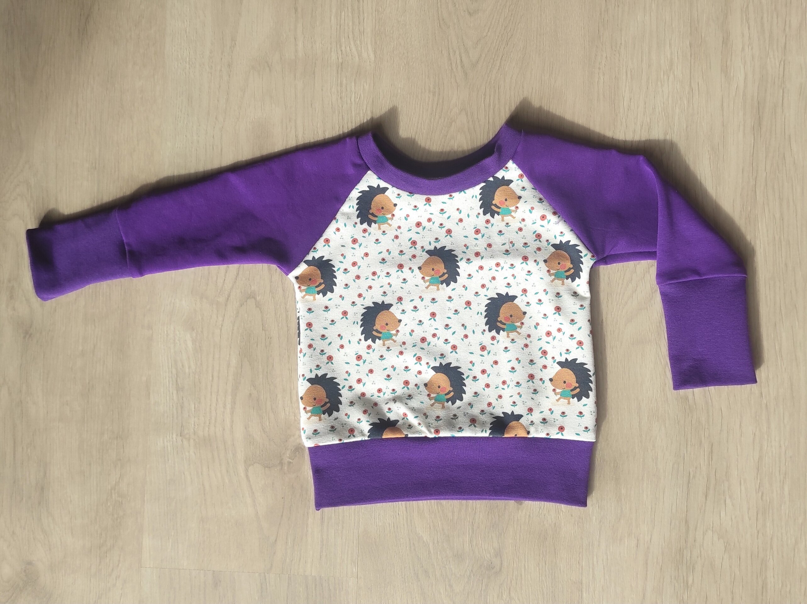 Sudadera Evolutiva - Erizos morado - 2