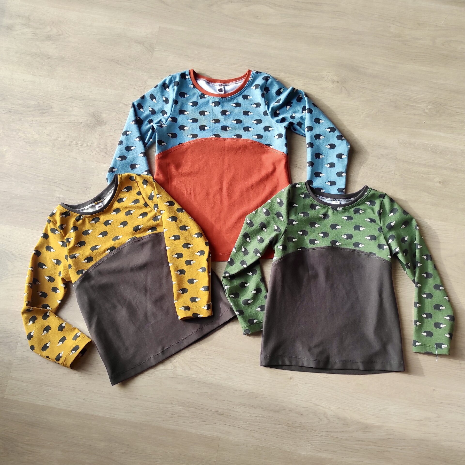 Camiseta Infantil Manga Larga - Erizos azul/teja - 3